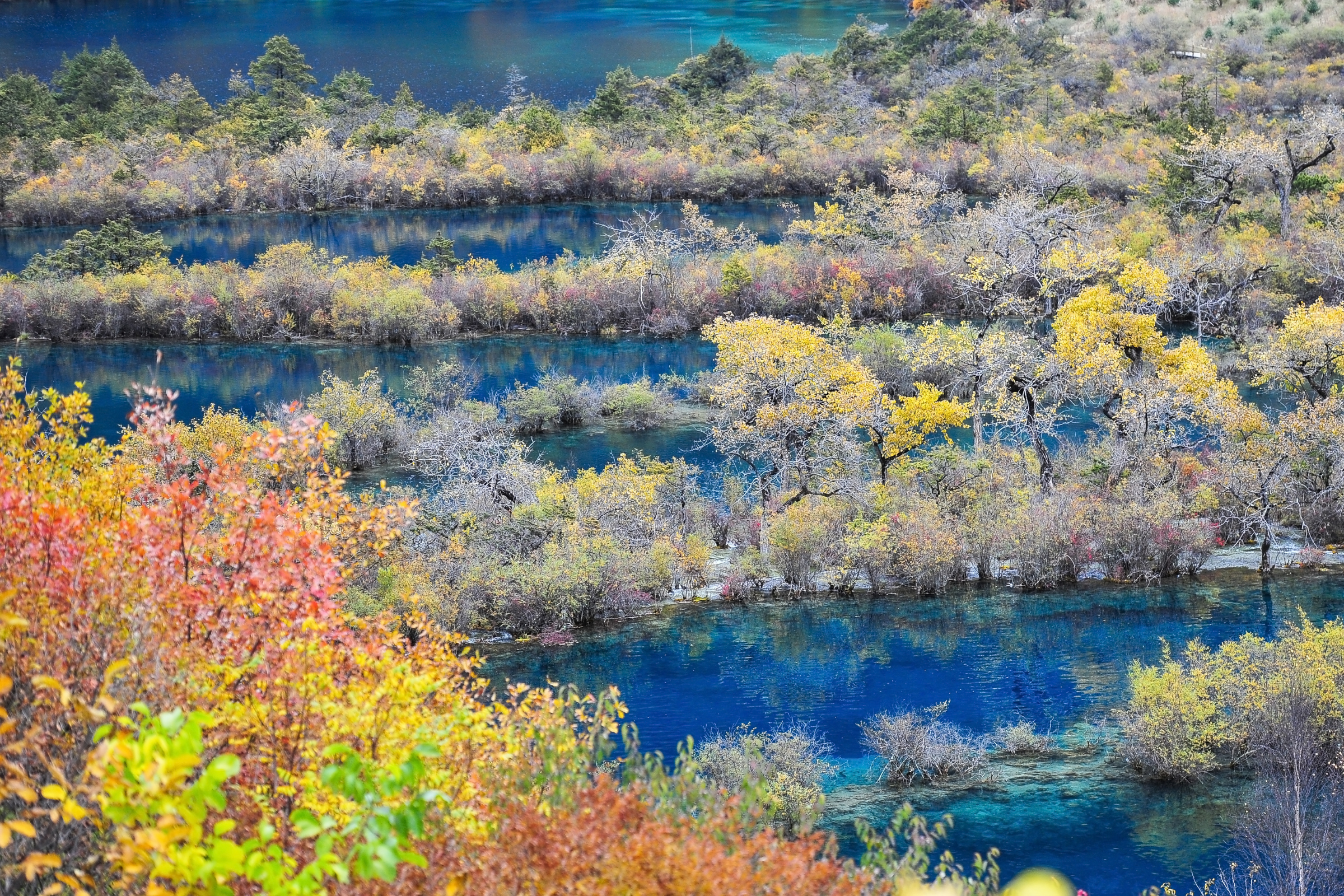 jiuzhaigou national park (4).webp